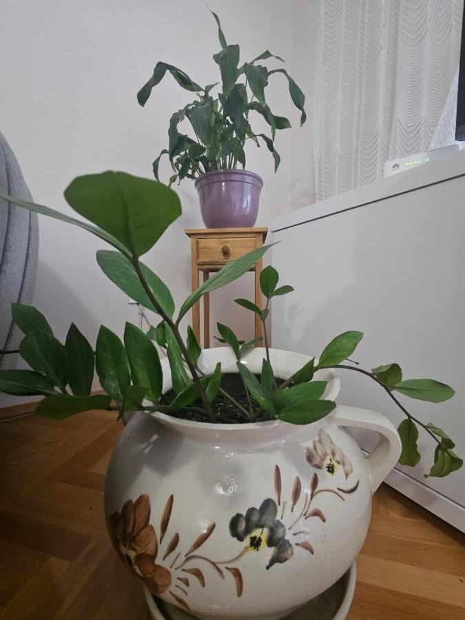 Zeljko Apartamento Mostar